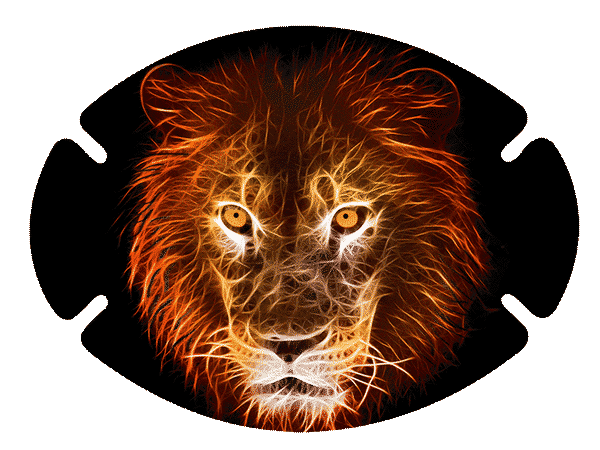 Augenpflaster Motiv Cooler Löwe in leuchtenden Konturen vor schwarzem Hintergrund