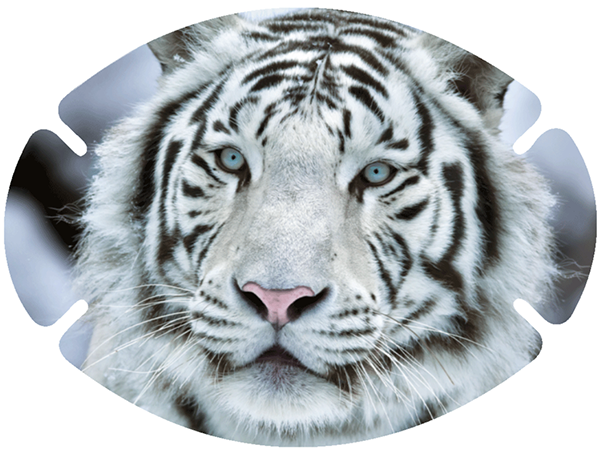 Piratoplast Augenpflaster weißer Tiger