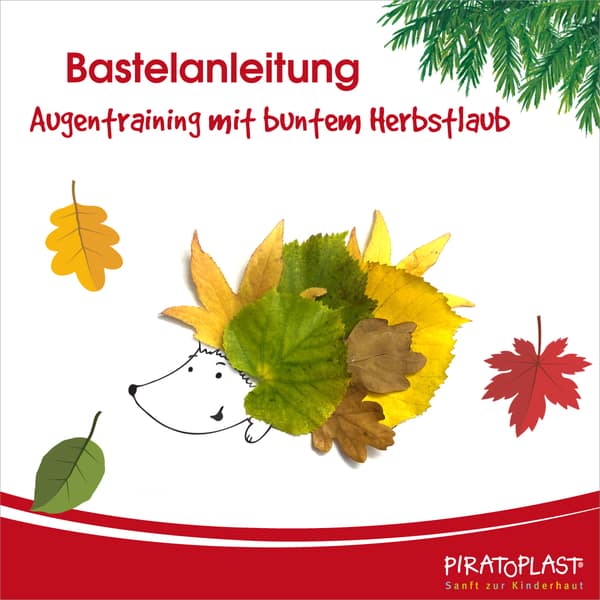 Piratoplast Basteltipp Igel aus Herbstlaub: bastelanleitung für Augentraining mit buntem Herbstlaub